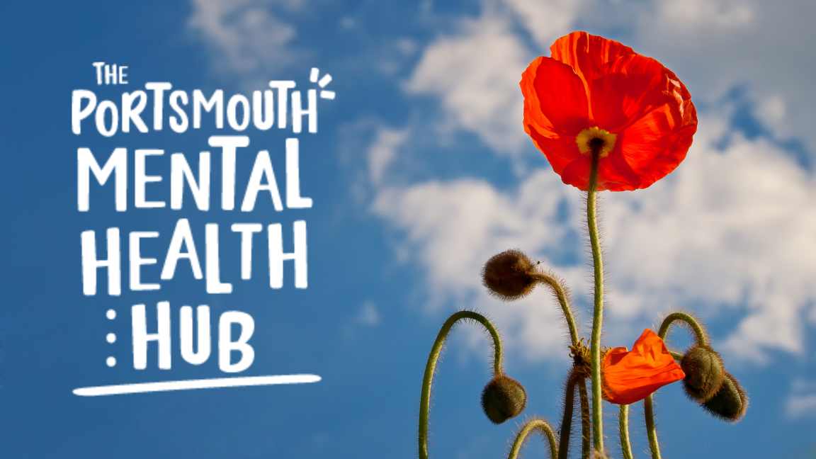 blue skies with white clouds and red poppy flower
